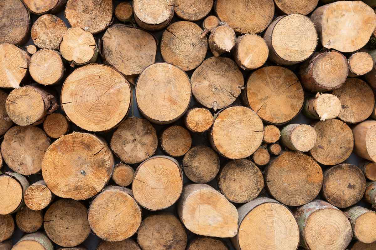 Bois de chauffage à 40 euros le stère : bonne affaire ou fausse économie ?