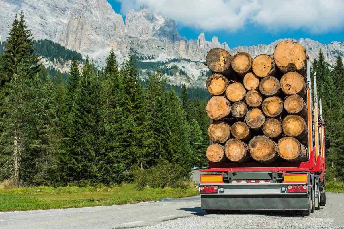Quel est le prix d’un camion de grumes de bois en 2026 ?