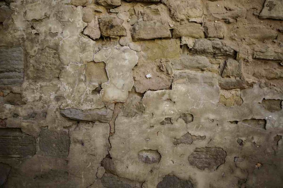 3 méthodes pour cacher un mur extérieur moche du voisin