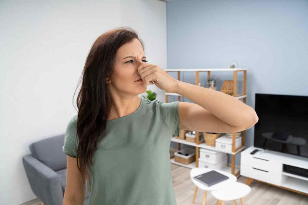 Odeurs d'égouts dans la maison : quels sont les risques + solutions