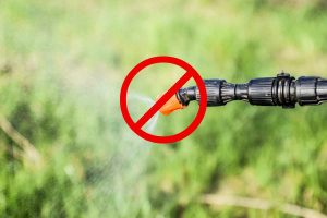 désherbant sélectif gazon interdit