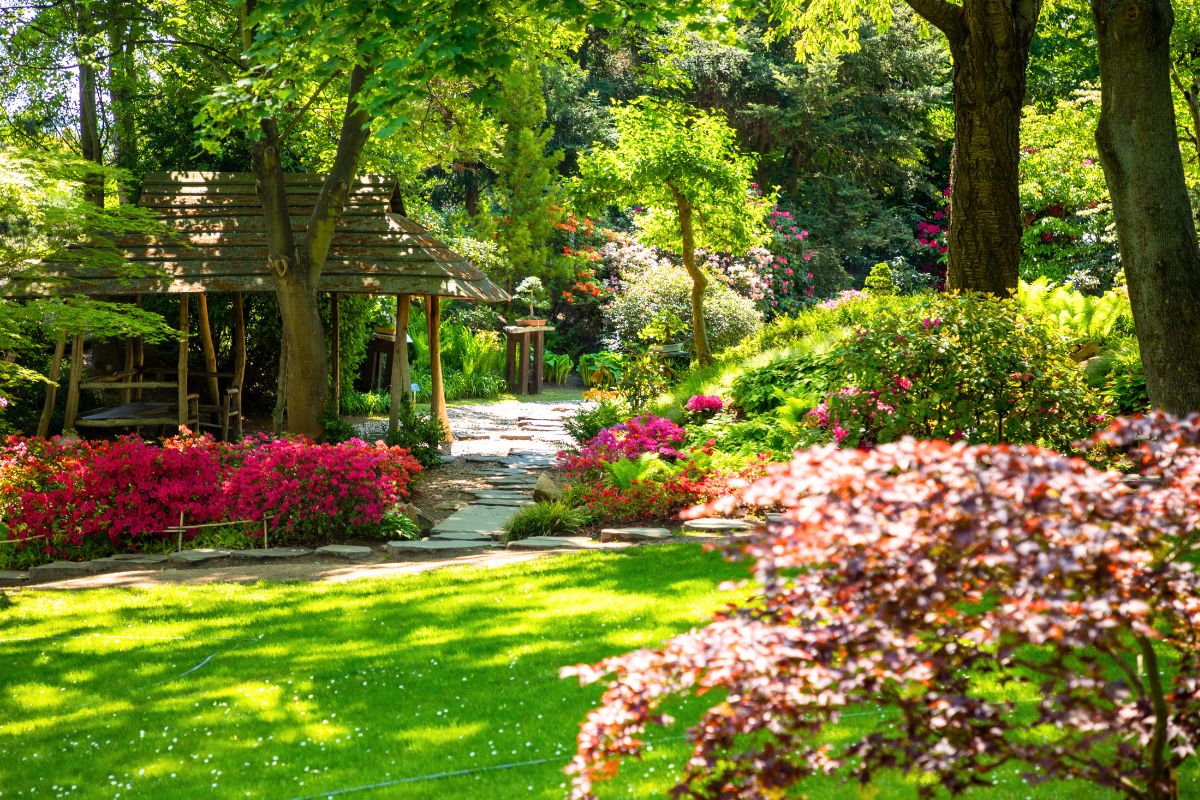 Les plus beaux arbres à fleurs à planter pour sublimer votre jardin