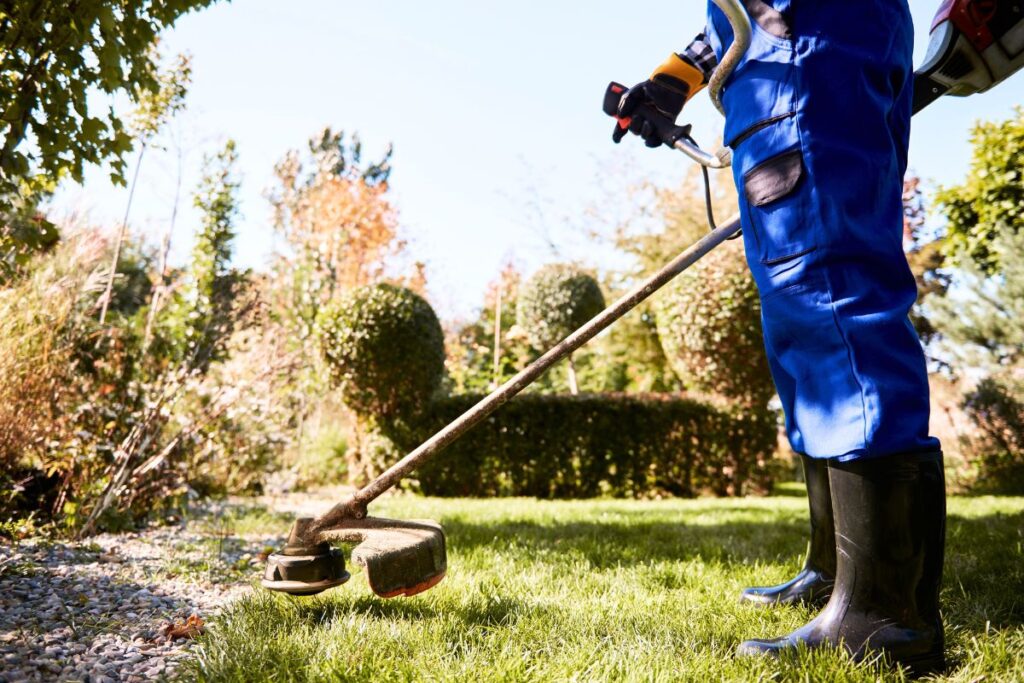 Pelouse au printemps