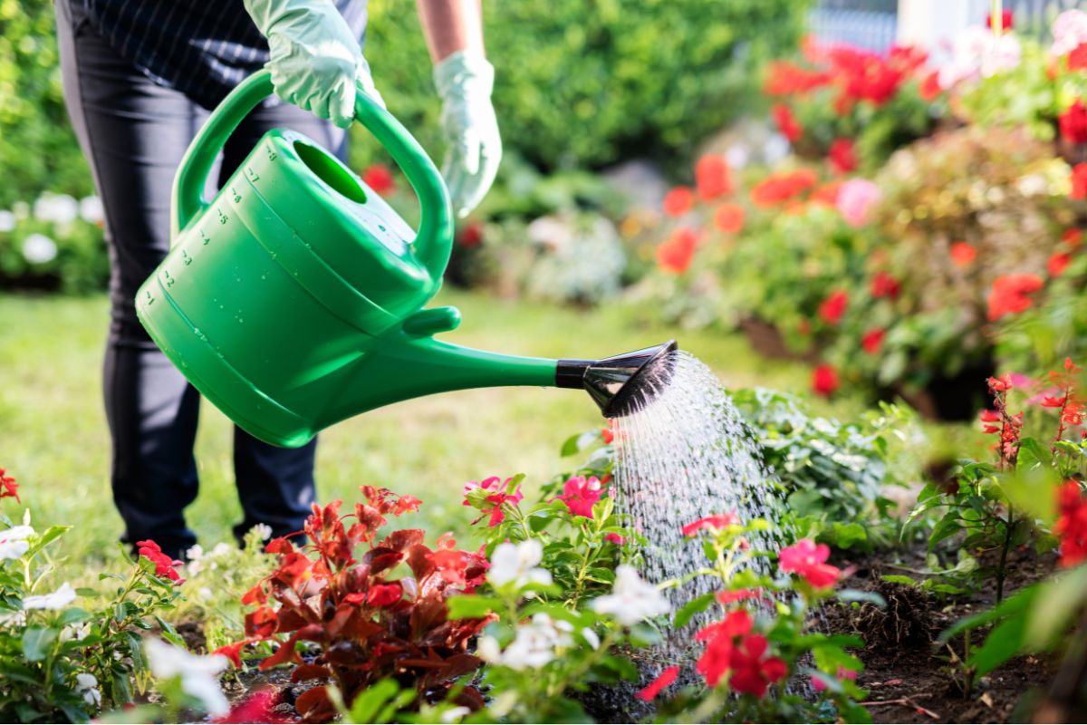 Voici l’heure idéale pour arroser son jardin en période de canicule
