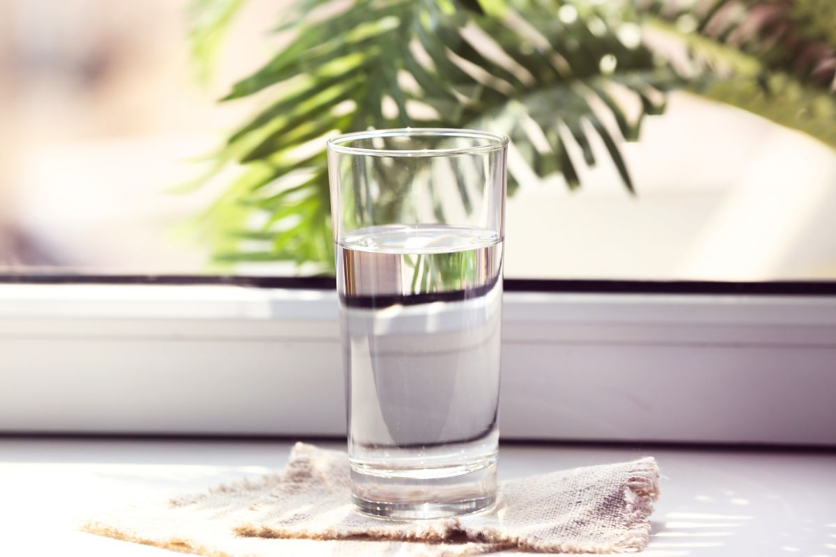 Un simple verre d’eau pourrait suffire à dissuader un cambriolage : découvrez cette astuce