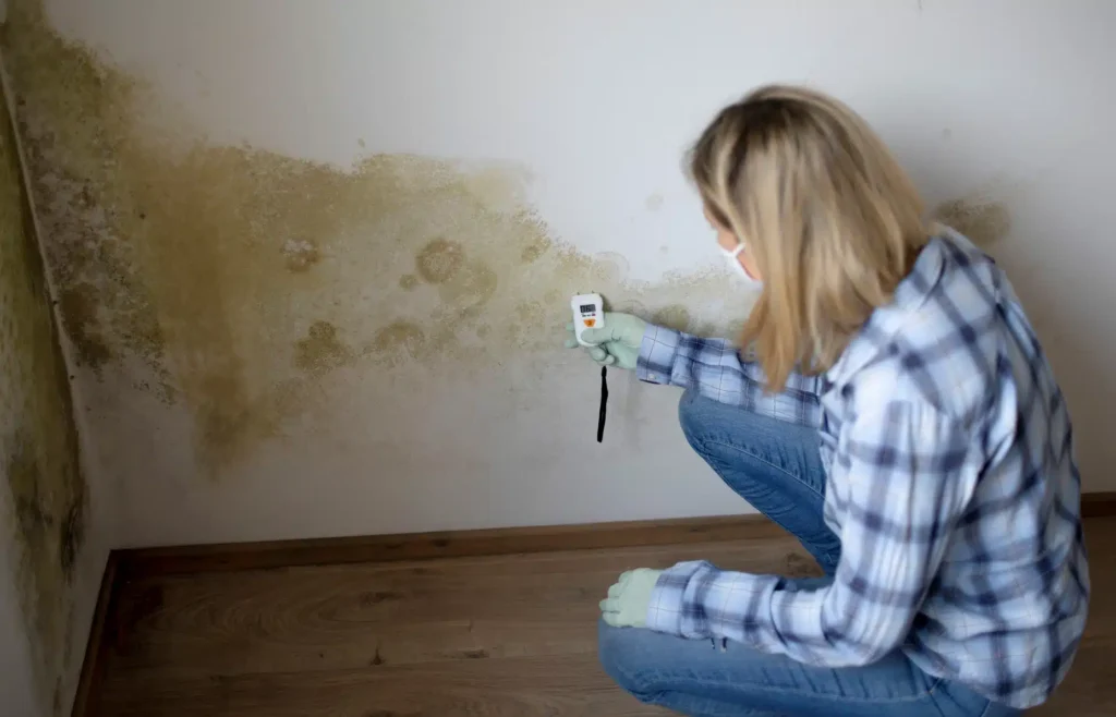 causes principales de l'humidité dans une maison