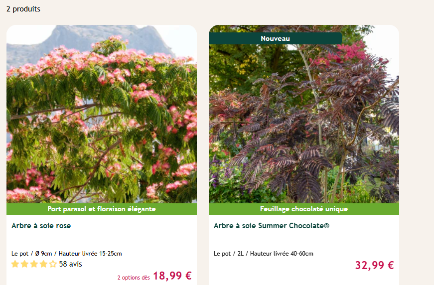 acheter un albizia au meilleur prix