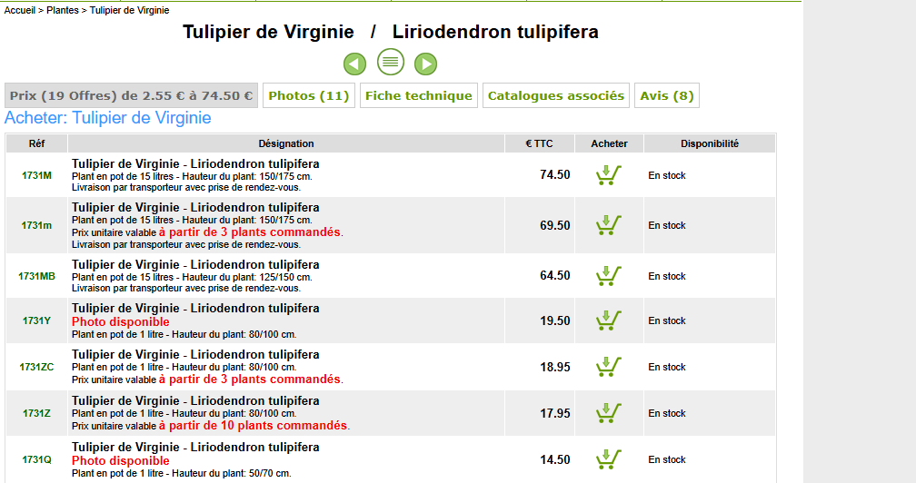  tulipier de Virginie au meilleur prix