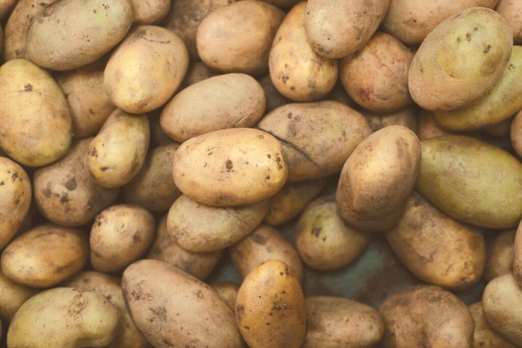 conseils stockage pomme de terre 
