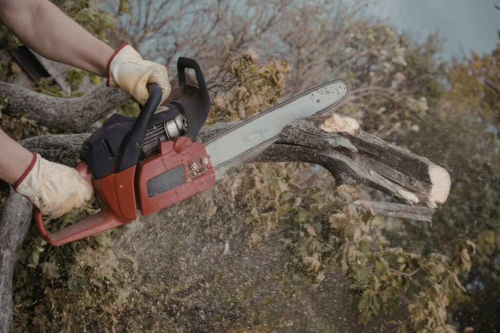 couper les branches du voisin
