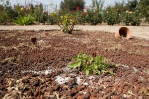 pouzzolane inconvénients